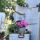 Primitive tipsy pot planters | DIY Rustic garden decor.